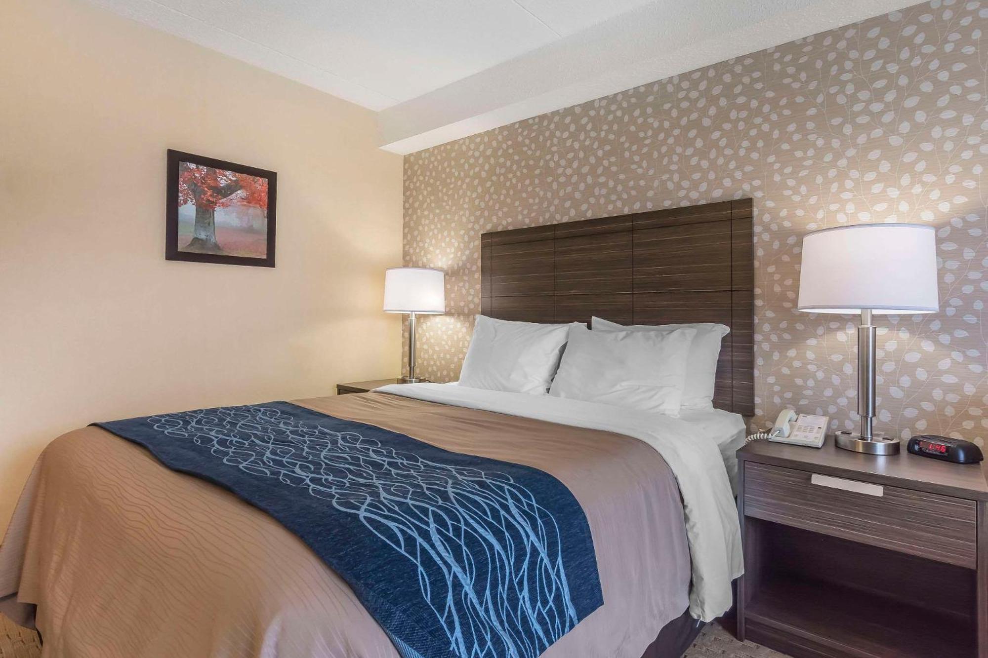Comfort Inn Lévis Exteriör bild