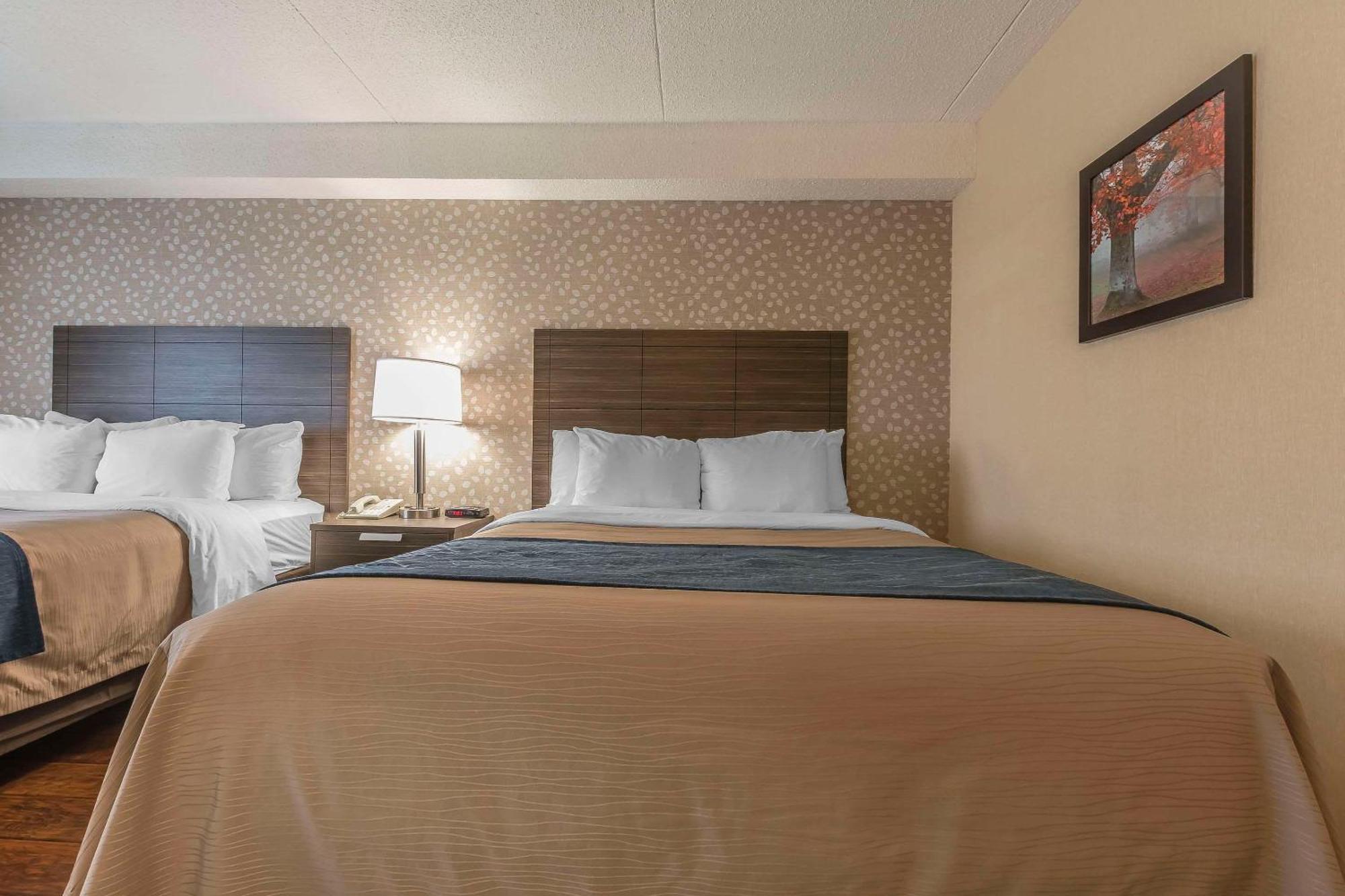 Comfort Inn Lévis Exteriör bild