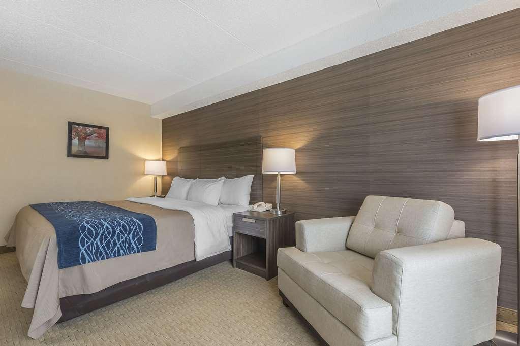 Comfort Inn Lévis Rum bild