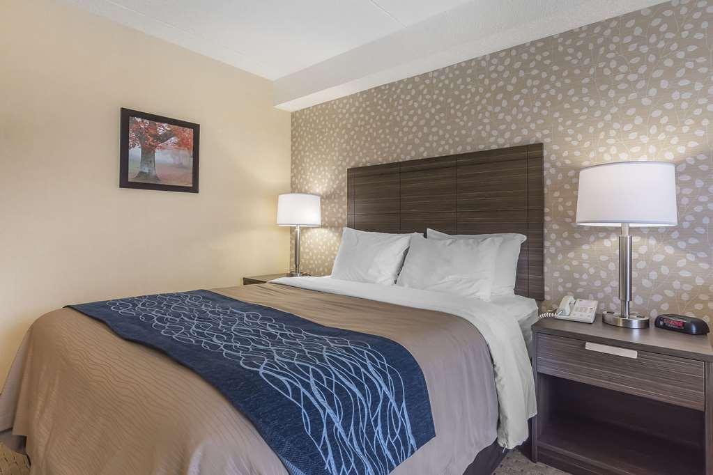 Comfort Inn Lévis Rum bild