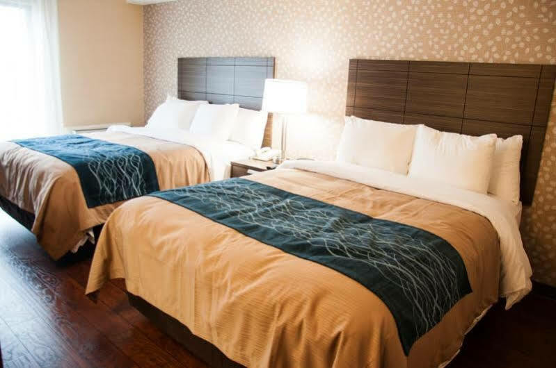 Comfort Inn Lévis Exteriör bild