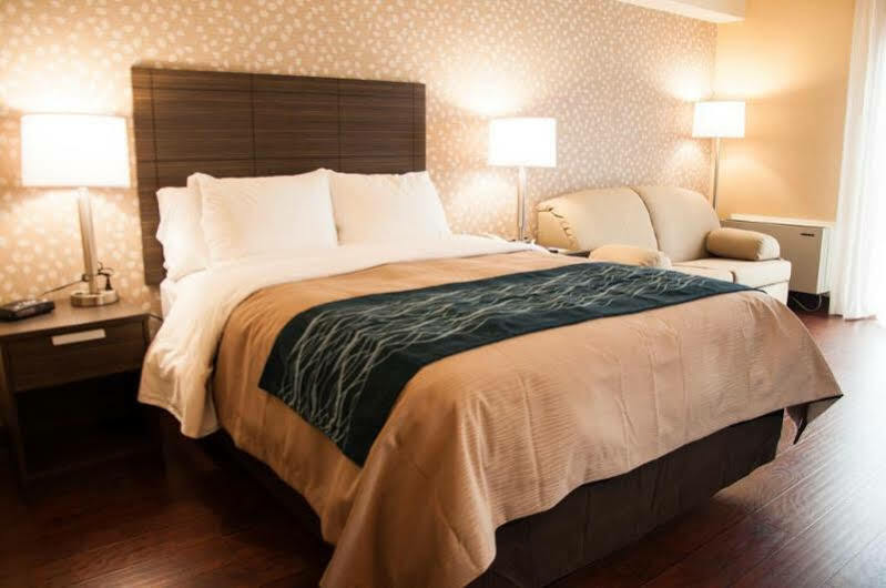 Comfort Inn Lévis Exteriör bild