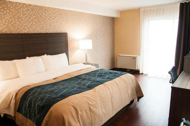 Comfort Inn Lévis Exteriör bild