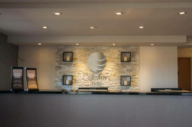 Comfort Inn Lévis Exteriör bild
